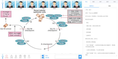 開發(fā)者實戰(zhàn) 不怕“網(wǎng)課又雙叒叕卡了”，在校生自建在線教育系統(tǒng)逆襲讓技術(shù)教育更高效